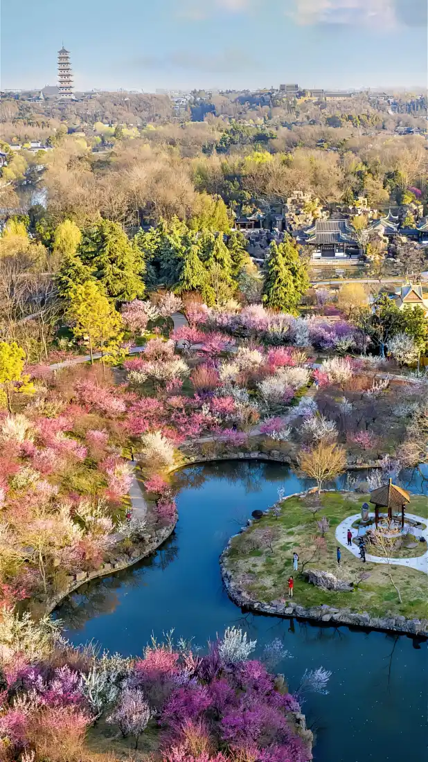 自然风景手机壁纸｜城市风景背景图片 - 湖泊花海塔楼「哲风壁纸」