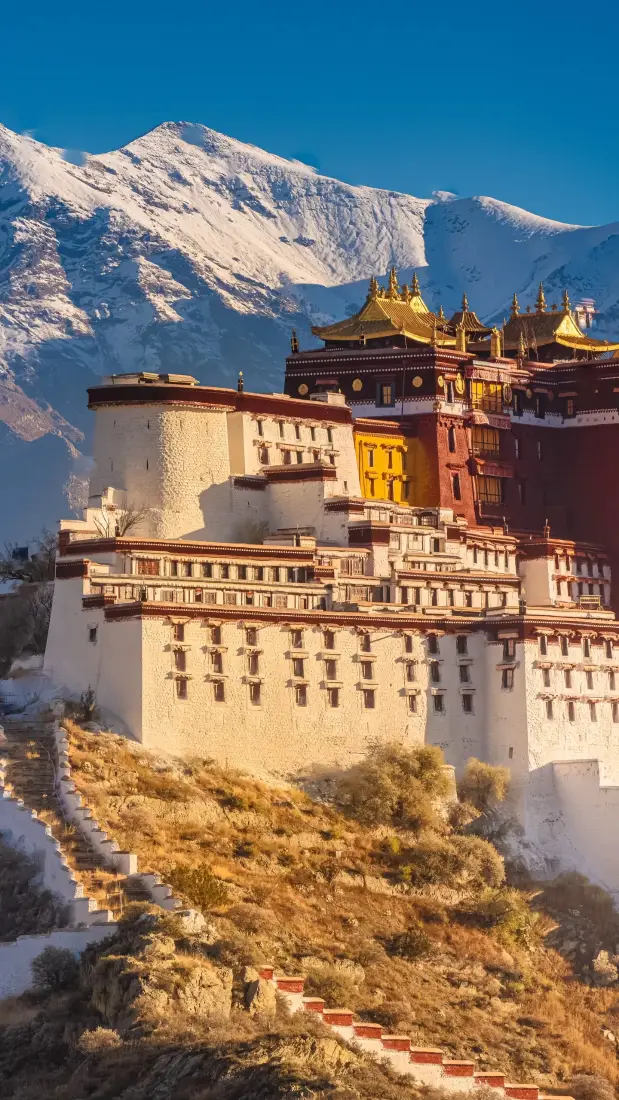 布达拉宫手机壁纸｜拉萨背景图片 - 雪山古建筑蓝天「哲风壁纸」