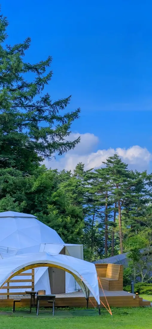 帐篷手机壁纸｜自然风景背景图片 - 森林草地露营「哲风壁纸」