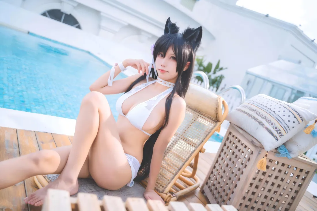 10k猫耳美女壁纸｜泳池背景图片 - 夏日清凉「哲风壁纸」