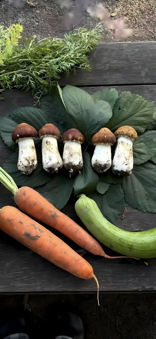 蔬菜蘑菇手机壁纸｜自然食材背景图 - 简约「哲风壁纸」