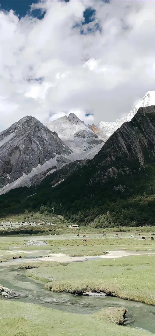 雪山手机壁纸｜自然背景图片 - 草地河流山脉「哲风壁纸」