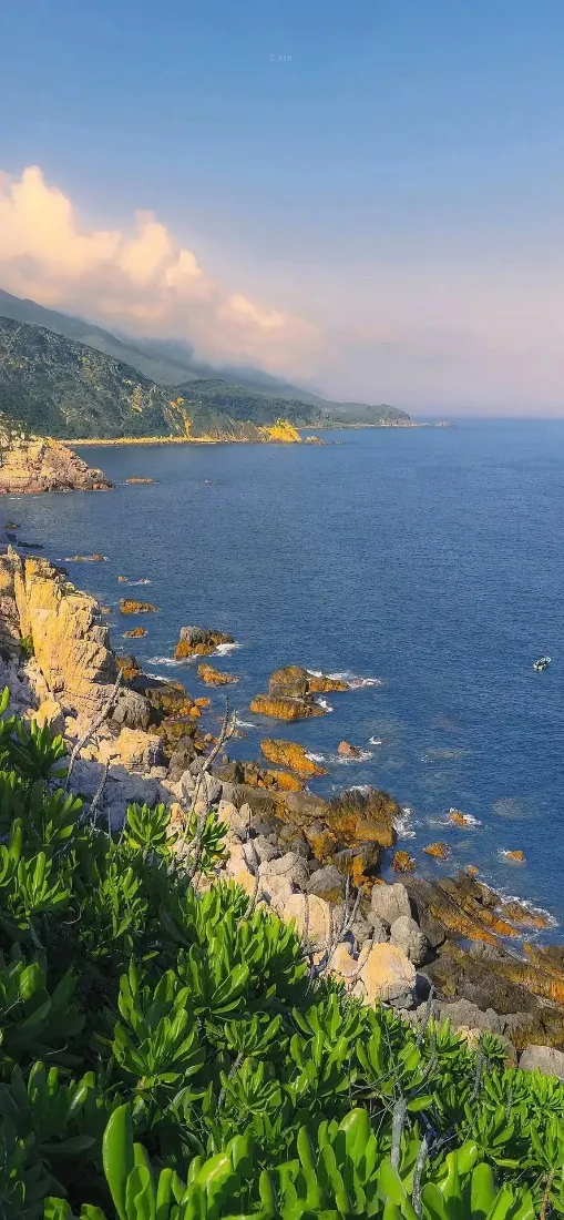 海景手机壁纸｜海岸背景图片 - 山峦碧海蓝天绿植岩石「哲风壁纸」