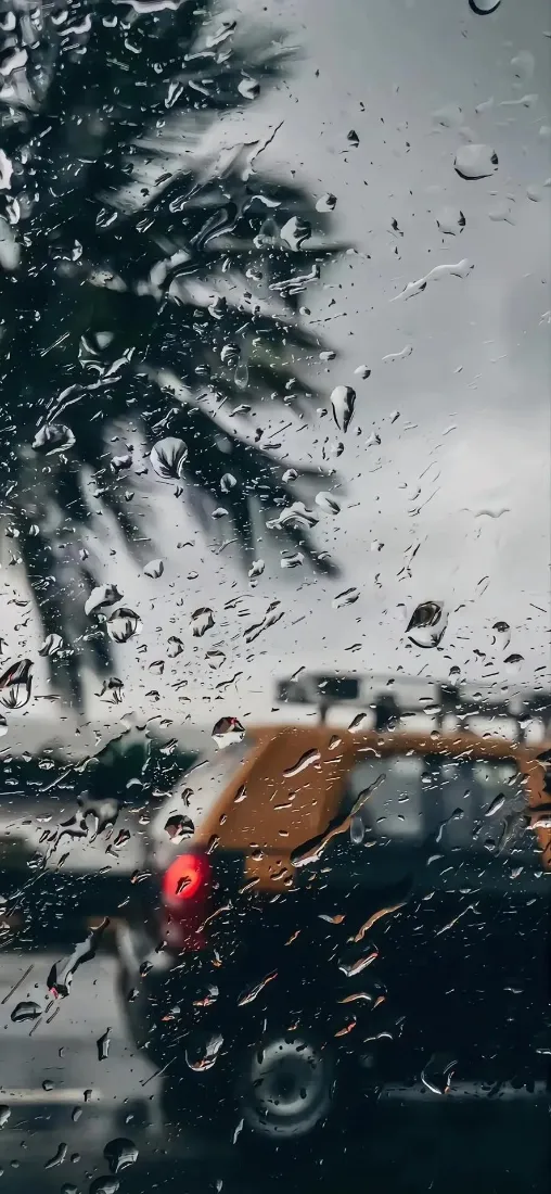雨天车窗手机壁纸｜雨天背景图 - 棕榈树汽车「哲风壁纸」