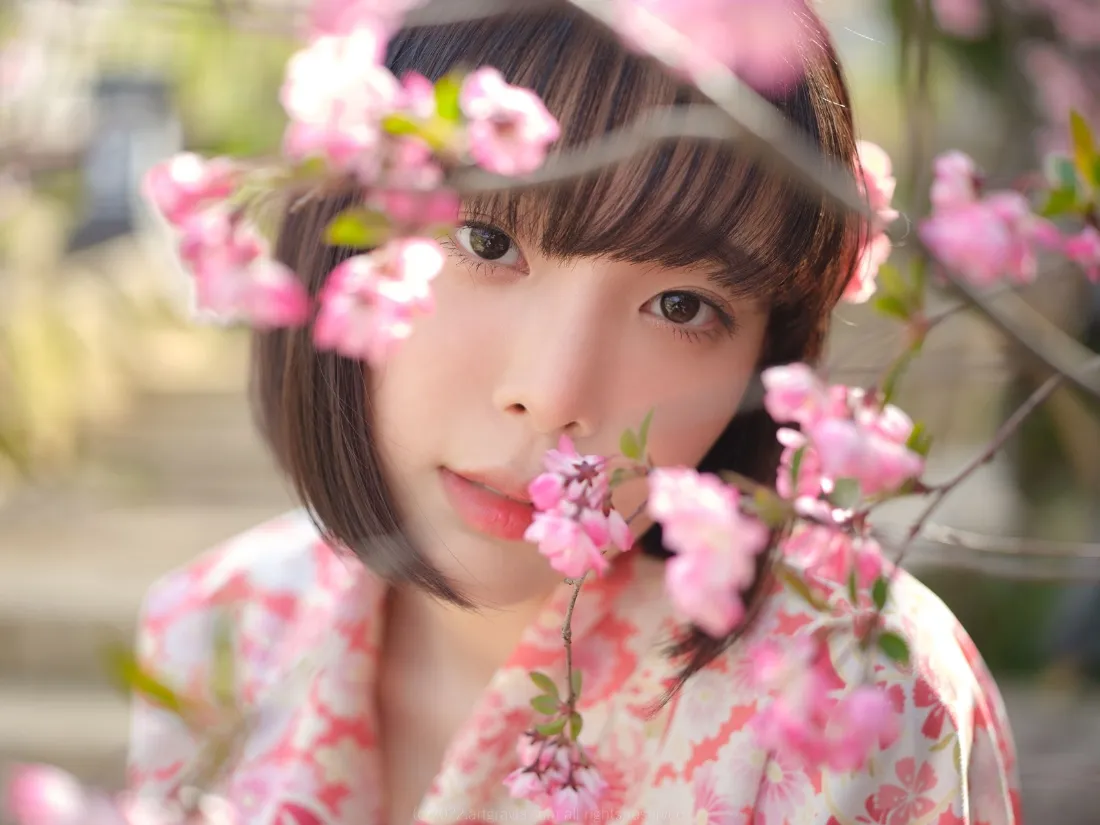2k和服少女壁纸｜樱花背景图片 - 春日写真「哲风壁纸」