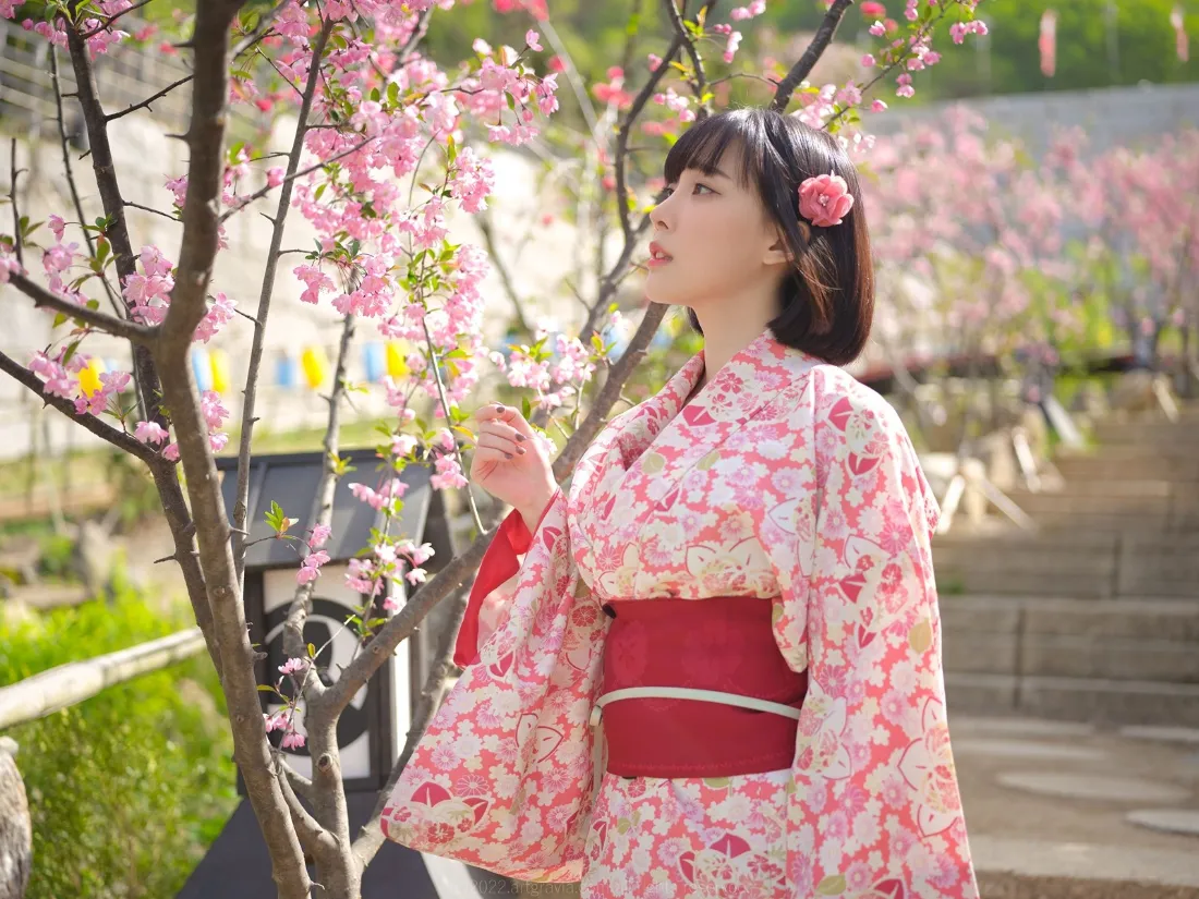 2k和服女性壁纸｜樱花春日背景图片 - 粉色和服日式写真「哲风壁纸」
