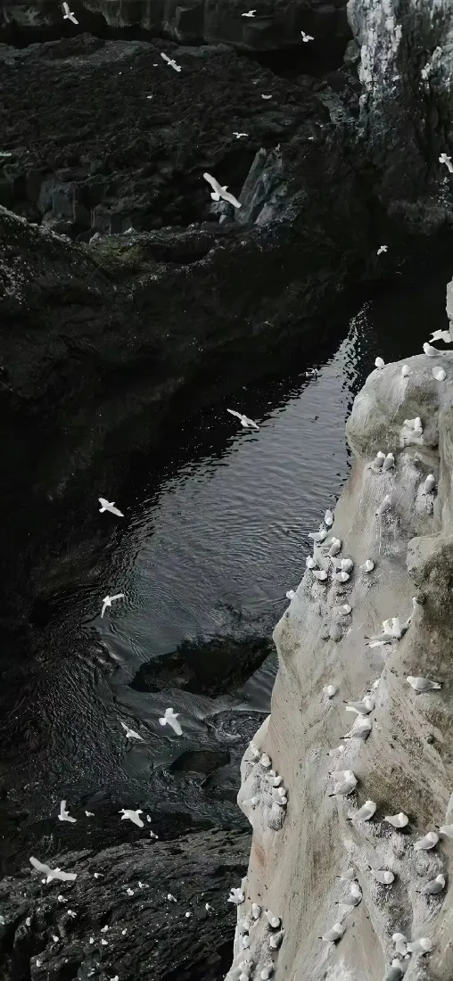 自然风景手机壁纸｜峡谷河流背景图片 - 白鸽岩石峭壁「哲风壁纸」