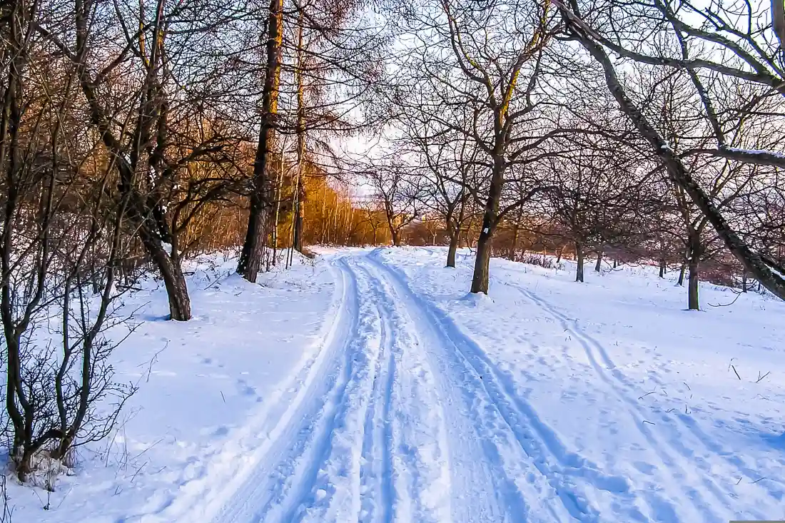 5k雪地道路壁纸｜冬日树林背景图片 - 黄昏雪景「哲风壁纸」