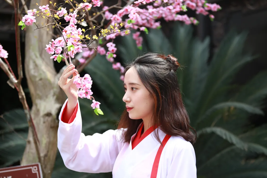 5k汉服女子壁纸｜梅花背景图片 - 夏天古风「哲风壁纸」