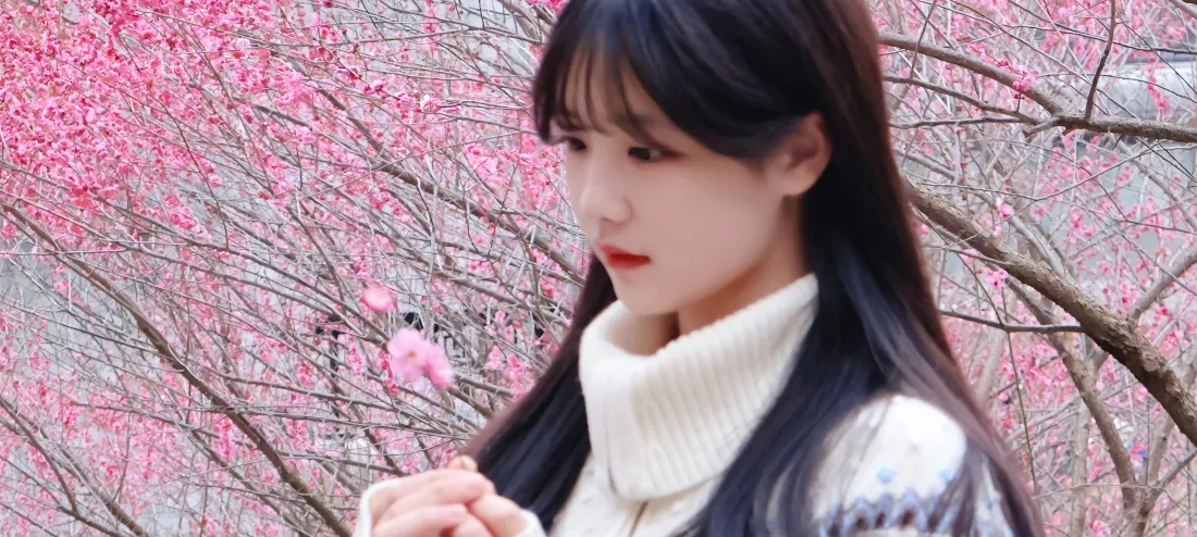 4k美女梅花壁纸｜粉色背景图 - 清纯「哲风壁纸」