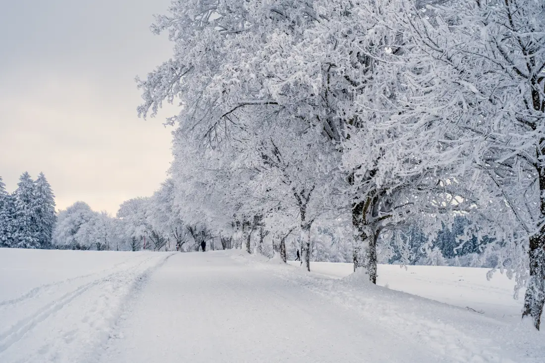 6k雪景壁纸｜冬季公路背景图片 - 银装素裹森林「哲风壁纸」