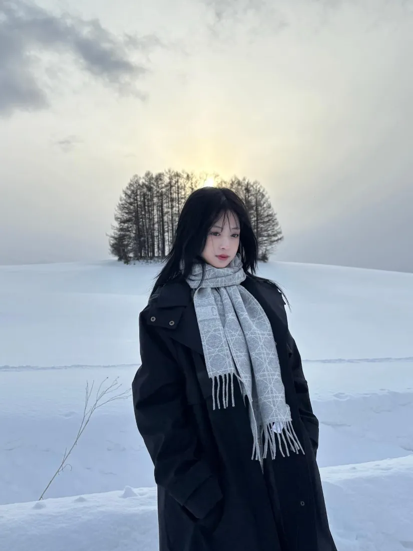 郑雅娴手机壁纸｜下雪雪地背景图片 - 冬日清冷感「哲风壁纸」