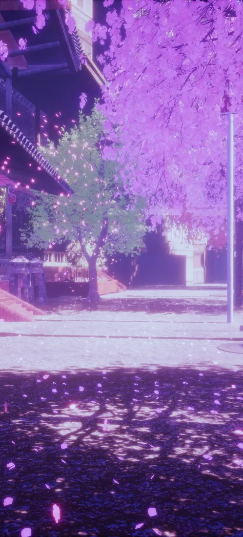 樱花季手机壁纸｜落樱街道背景图片 - 春日治愈「哲风壁纸」