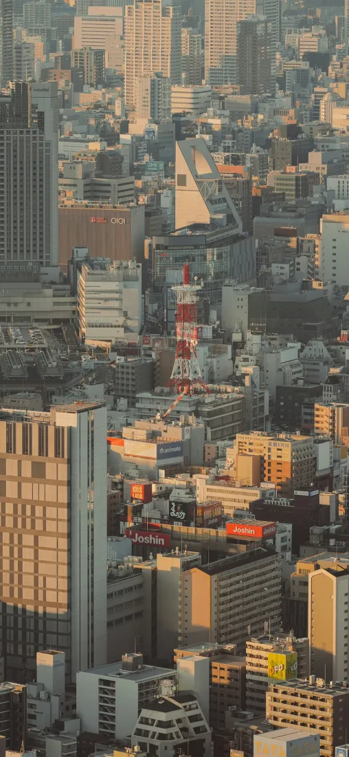 城市俯视手机壁纸｜都市建筑群背景图片 - 东京塔「哲风壁纸」