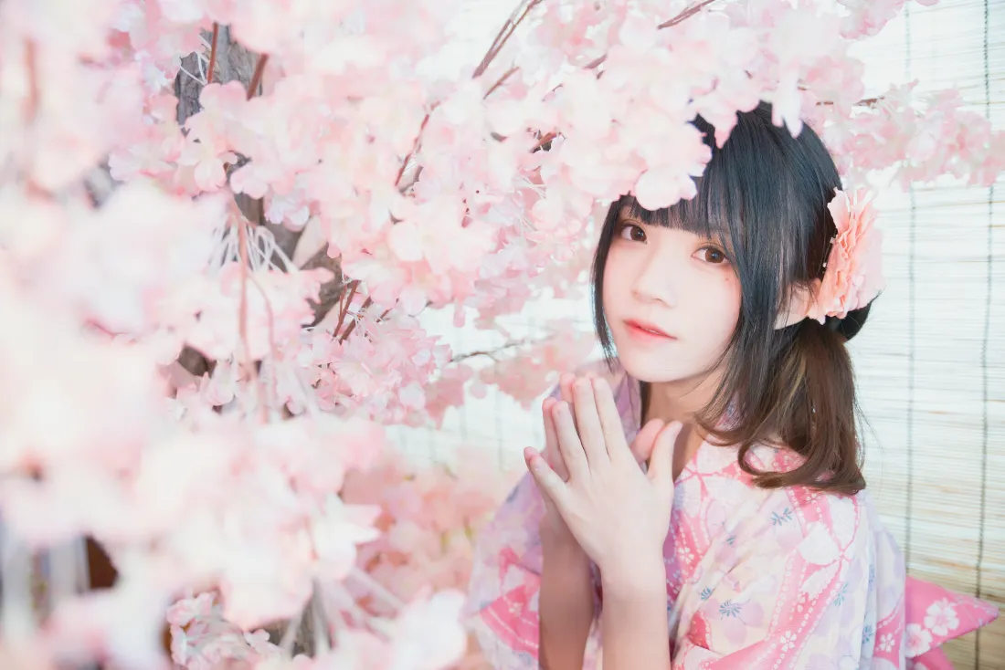 8k桜桃喵壁纸｜樱花背景图片 - 和服少女「哲风壁纸」