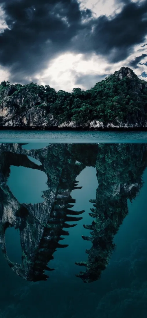 鳄鱼倒影手机壁纸｜湖泊山林背景图片 - 视觉错觉「哲风壁纸」
