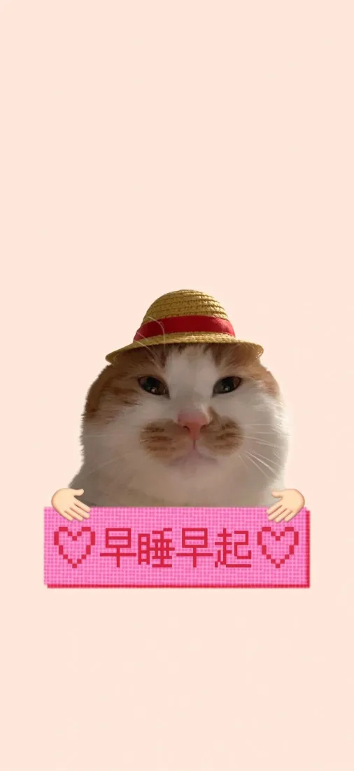 小猫手机壁纸｜治愈背景图片 - 早睡早起「哲风壁纸」