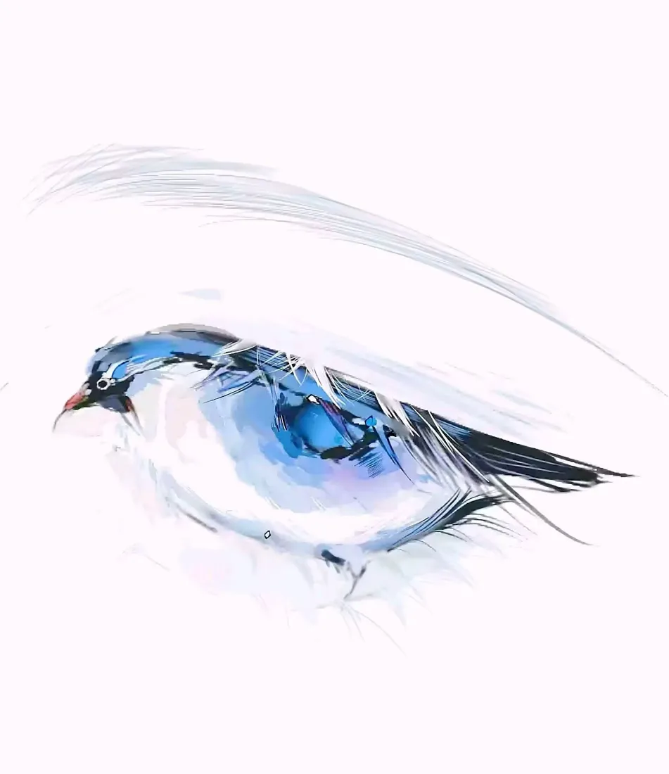 飞鸟与蓝色眼睛手机壁纸｜水彩手绘背景图片 - 创意艺术插画「哲风壁纸」