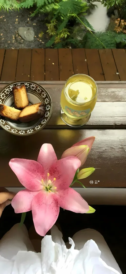粉色百合花手机壁纸｜清新下午茶背景图片 - 惬意休闲时光「哲风壁纸」