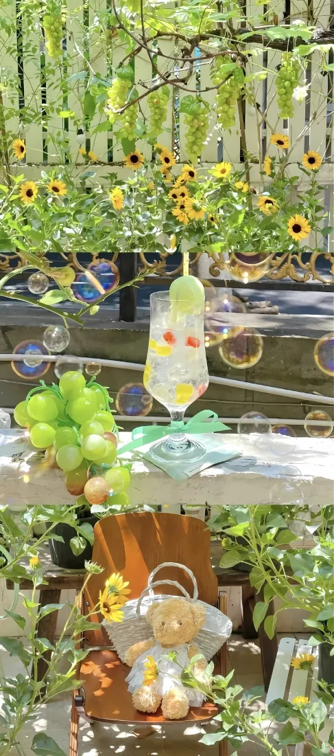夏日庭院手机壁纸｜清新绿植背景图片 - 治愈休闲场景「哲风壁纸」