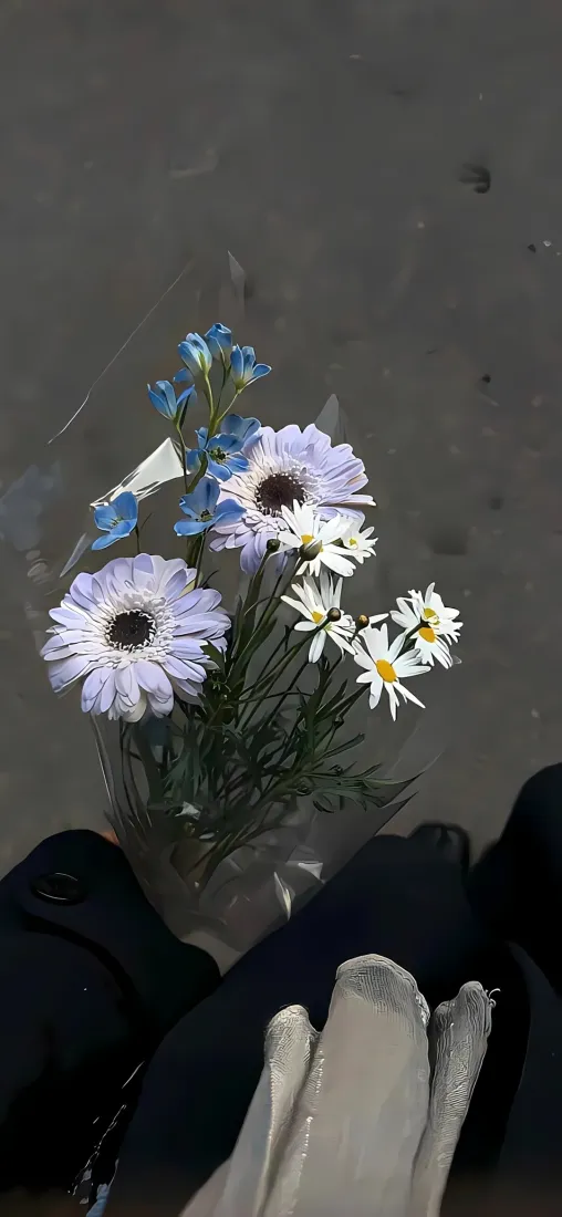 雏菊花束手机壁纸｜清新花艺背景图片 - 治愈静物「哲风壁纸」
