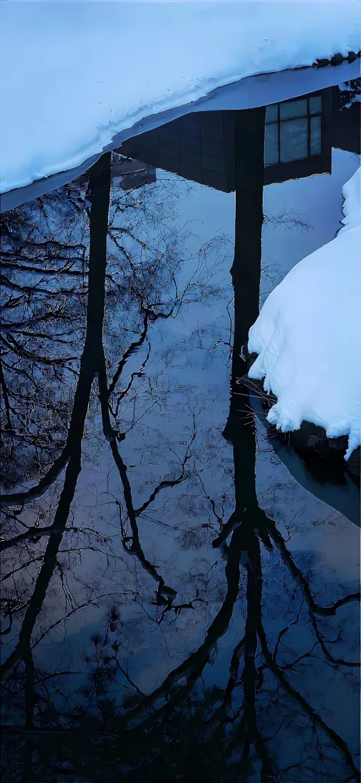 雪景手机壁纸｜冬日枯树枝积雪背景图片 - 清冷街边路灯「哲风壁纸」