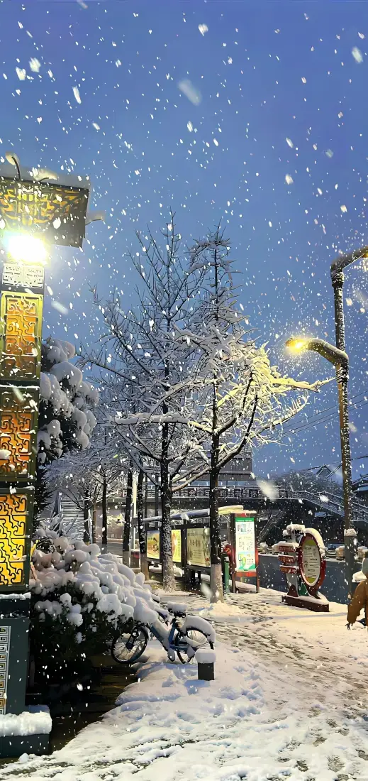 冬日飘雪手机壁纸｜城市街道背景图片 - 积雪路灯树木「哲风壁纸」