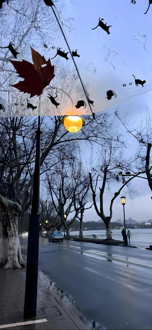 秋日枫叶手机壁纸｜阴雨天湖滨路灯背景图片 - 清冷氛围「哲风壁纸」