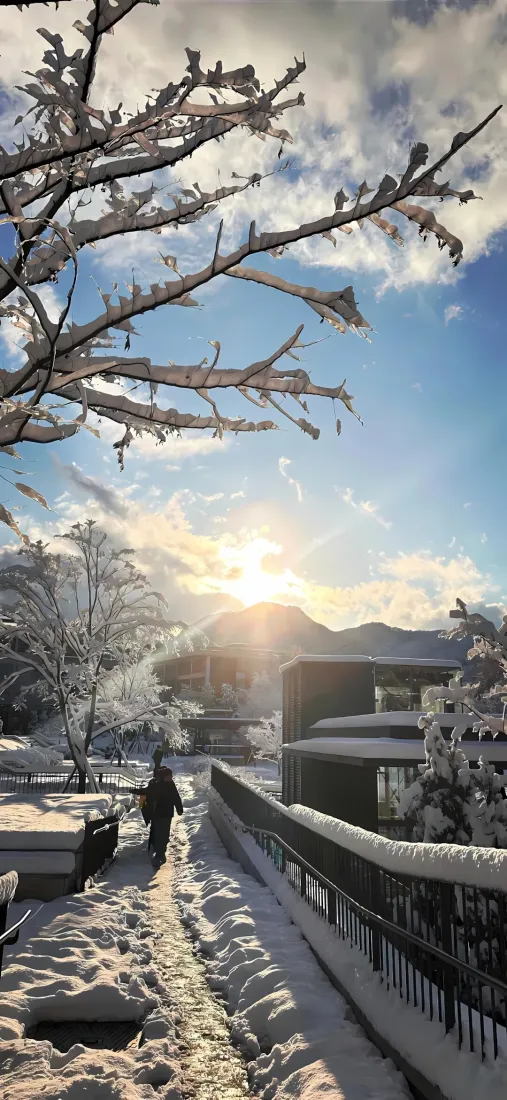 雪景手机壁纸｜清晨冬日街道背景图片 - 阳光蓝天积雪「哲风壁纸」
