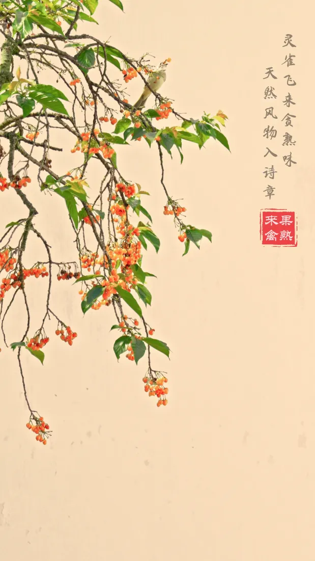 果熟来禽图手机壁纸｜樱桃树飞鸟背景图片 - 古朴国风意境「哲风壁纸」