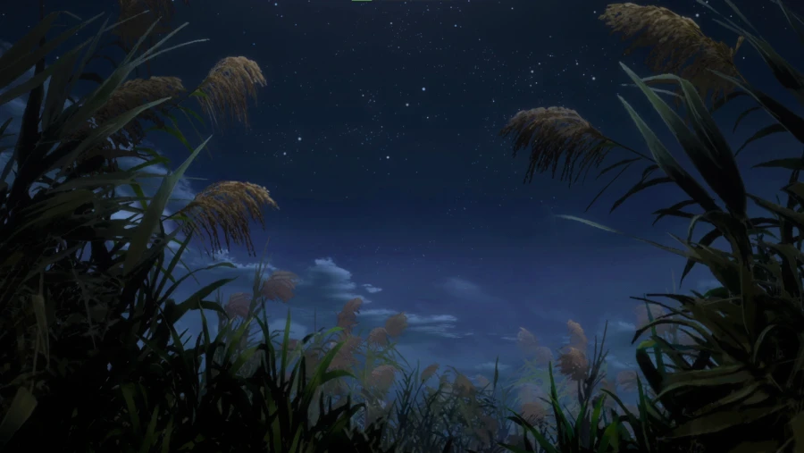 2k植物壁纸-草背景-星星眼星星眼背景-夜晚「哲风壁纸」