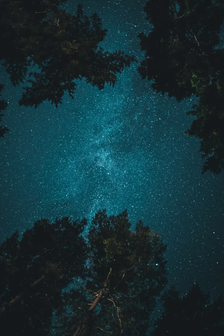 《明星星眼》手机壁纸-自然景观壁纸-黑白背景墙字体背景ure「哲风壁纸」