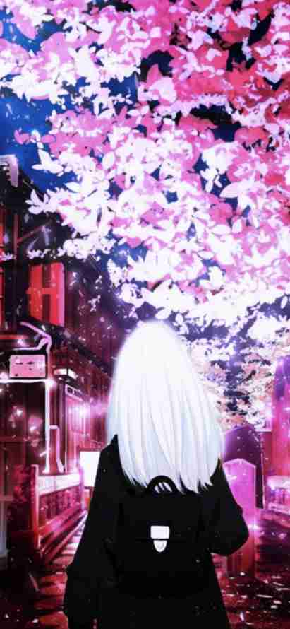 4k建筑壁纸 - 光 - 开花 - 樱花「哲风壁纸」