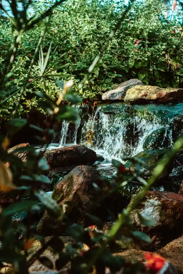 4k性质壁纸 - 流 - 植被 - 水道「哲风壁纸」