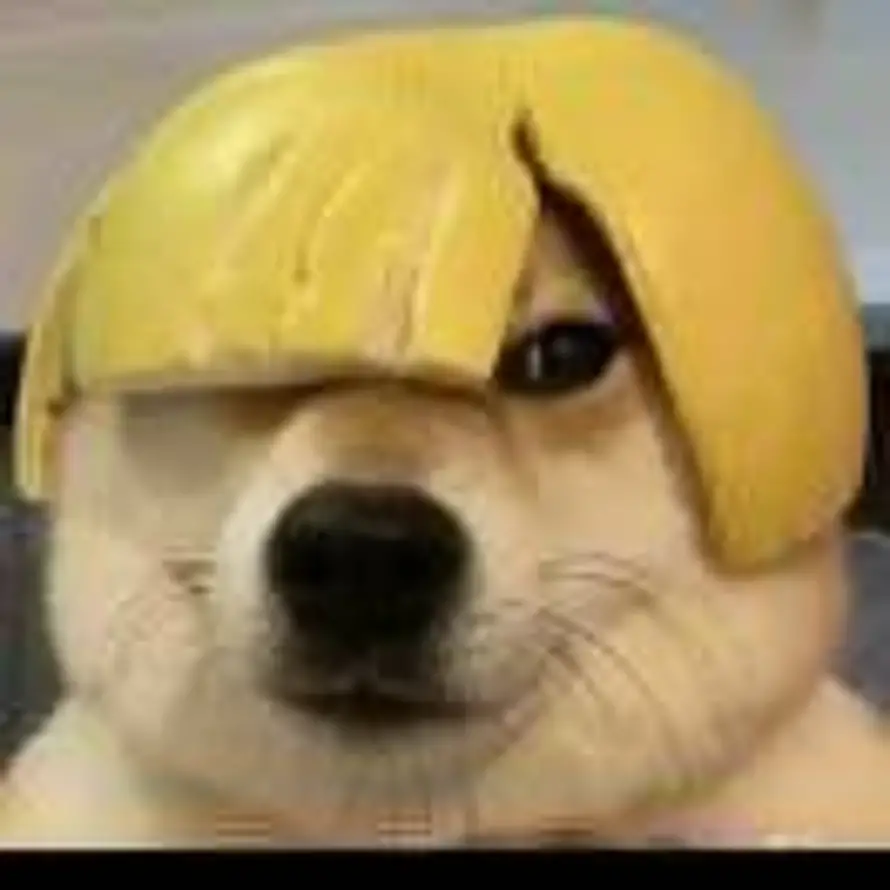 我在人间凑数的日子的头像