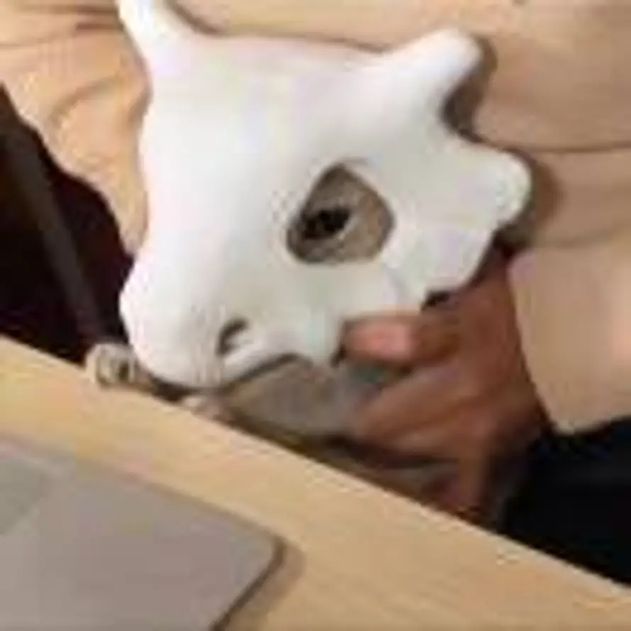 用户Casual的头像