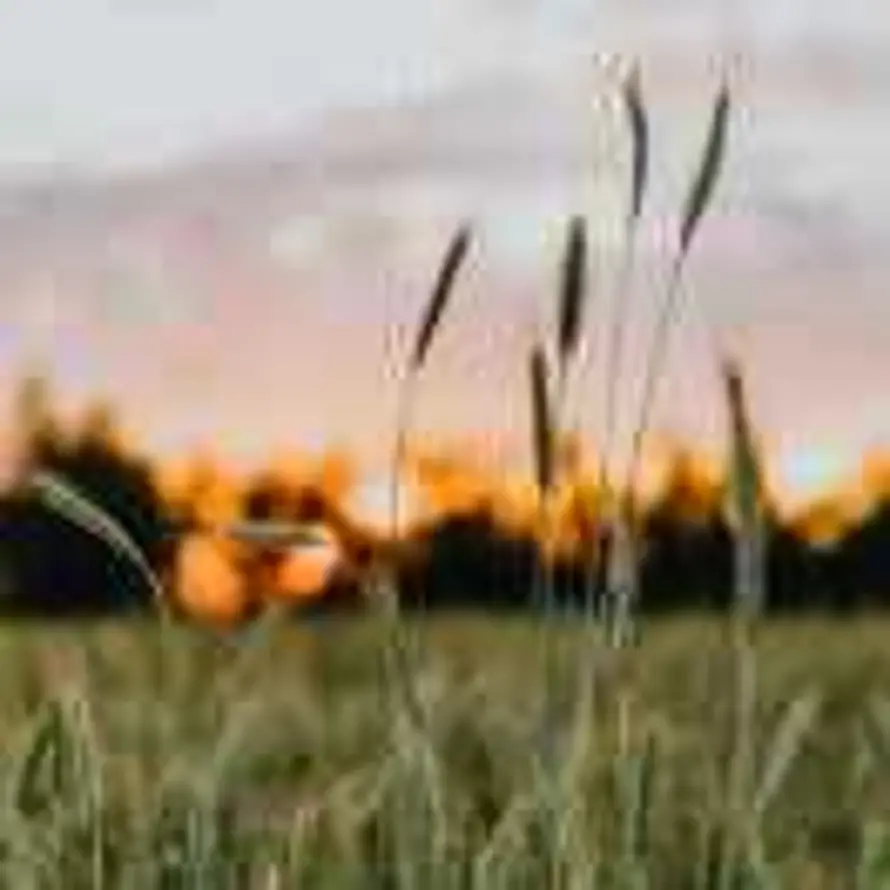 Damon(念旧）的头像