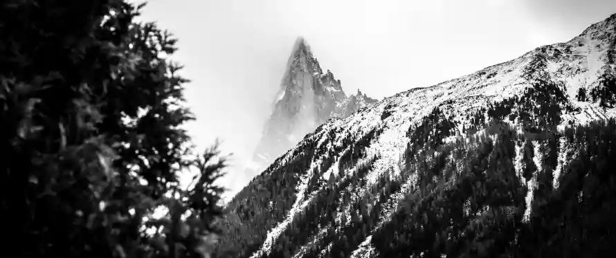 3k森林壁纸-雪山 - -壁纸分享「哲风壁纸」