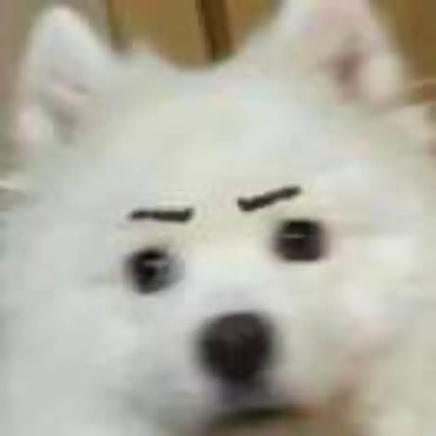 Null的头像