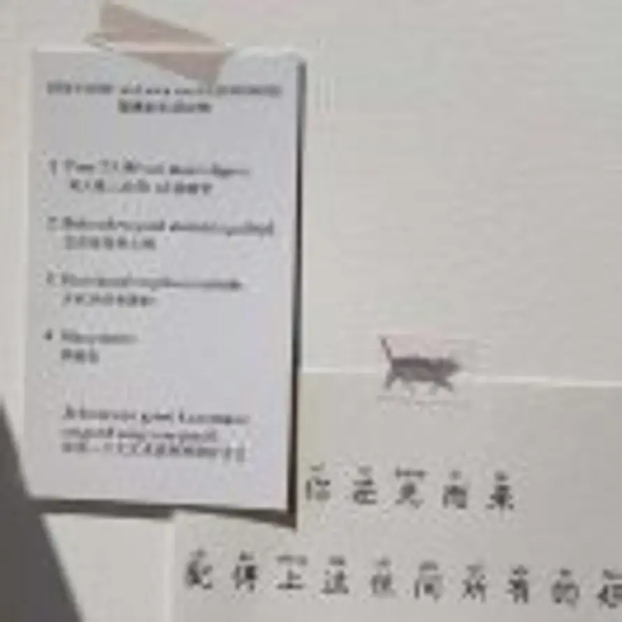々的头像