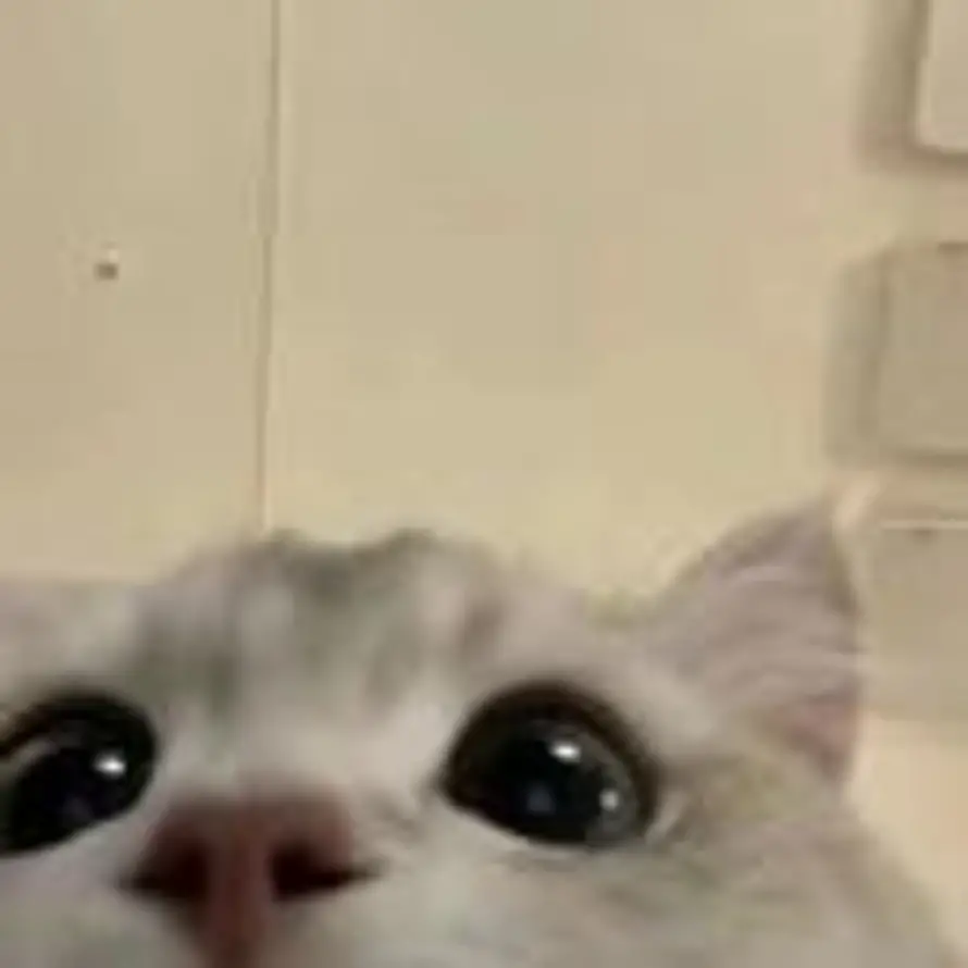 missinwinter-的头像