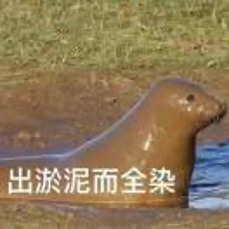 王来举的头像