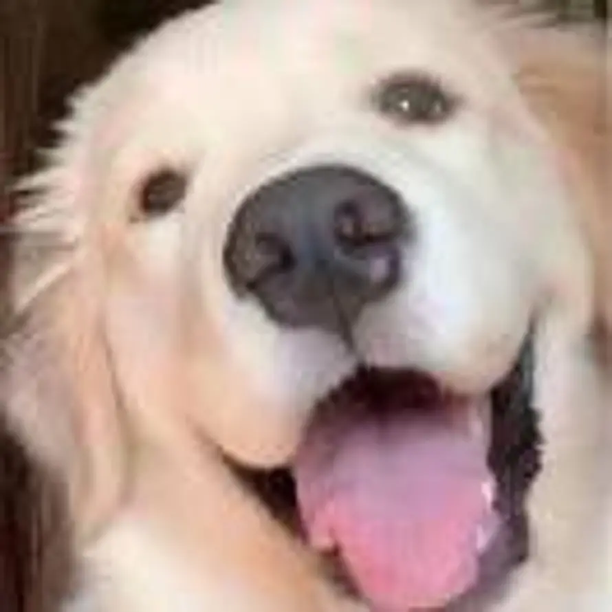 还有五分钟到达山顶的头像