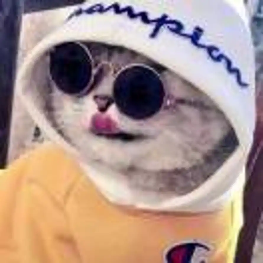 哈咯的用户头像 - 哲风壁纸