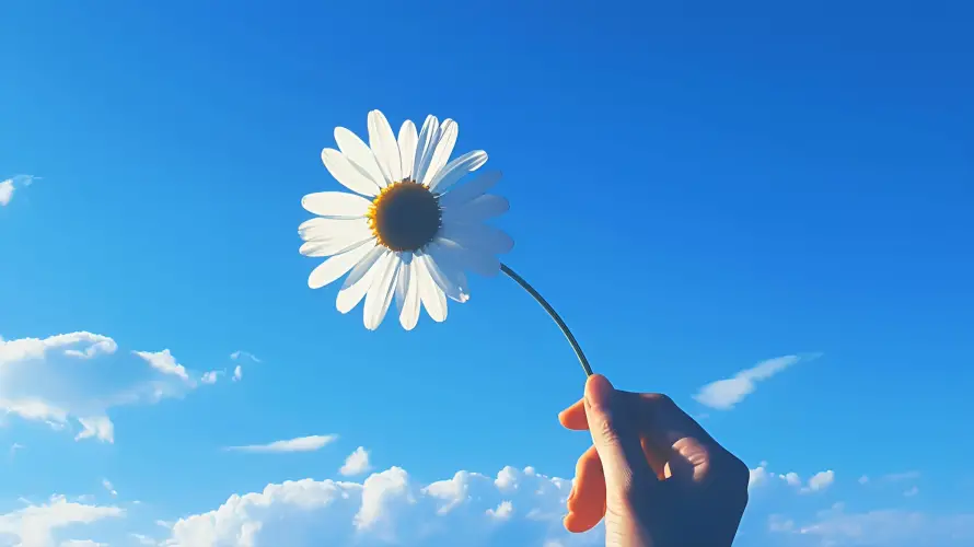 2k花朵壁纸-蓝天与-壁纸分享「哲风壁纸」