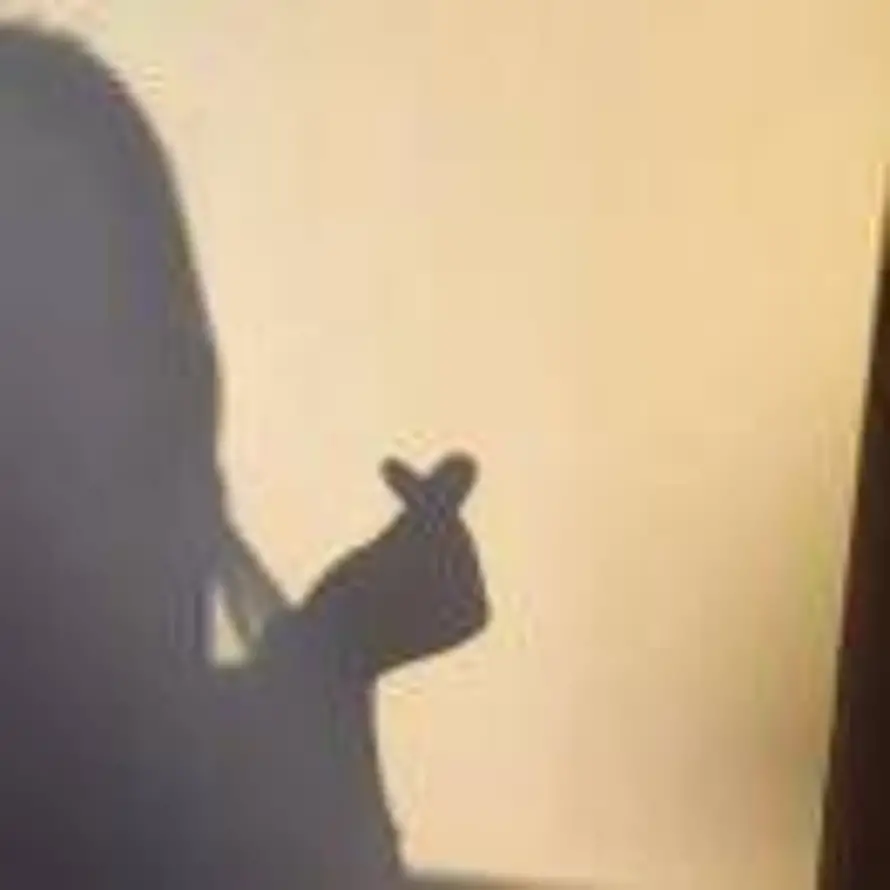 星挽逐风的头像