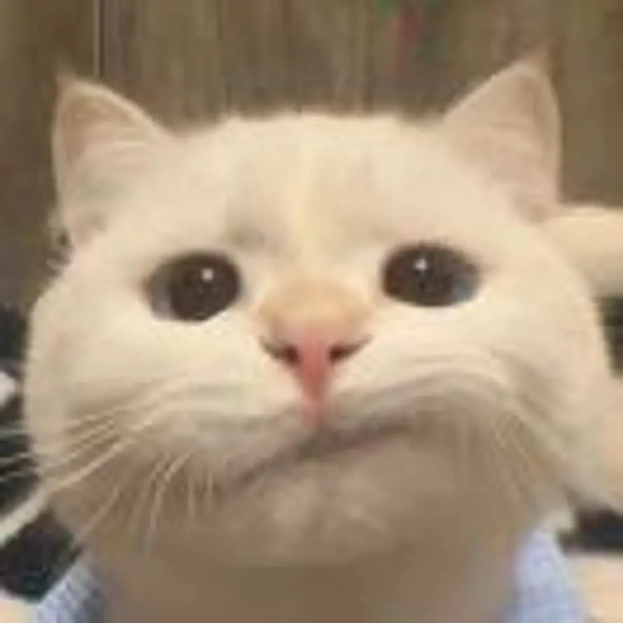 ᨏོ 他与她ᨏᨏཽ的头像