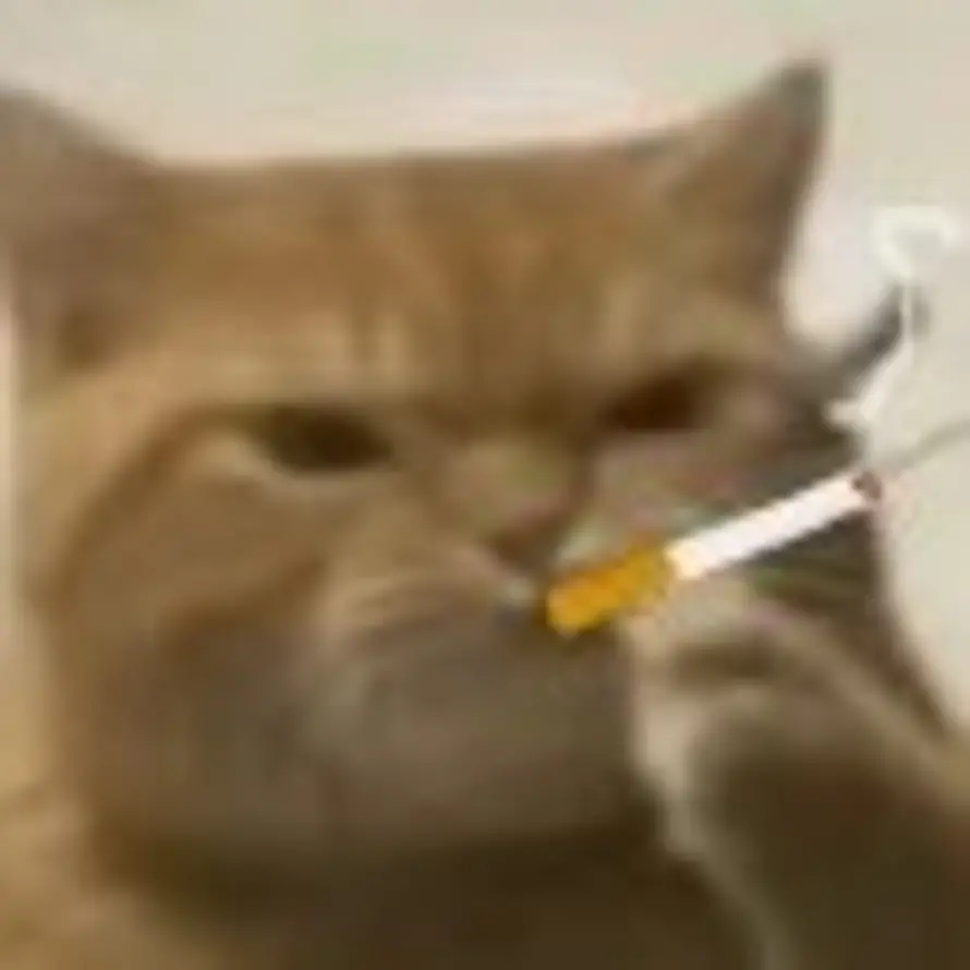 🚫魔法披风🥺的头像