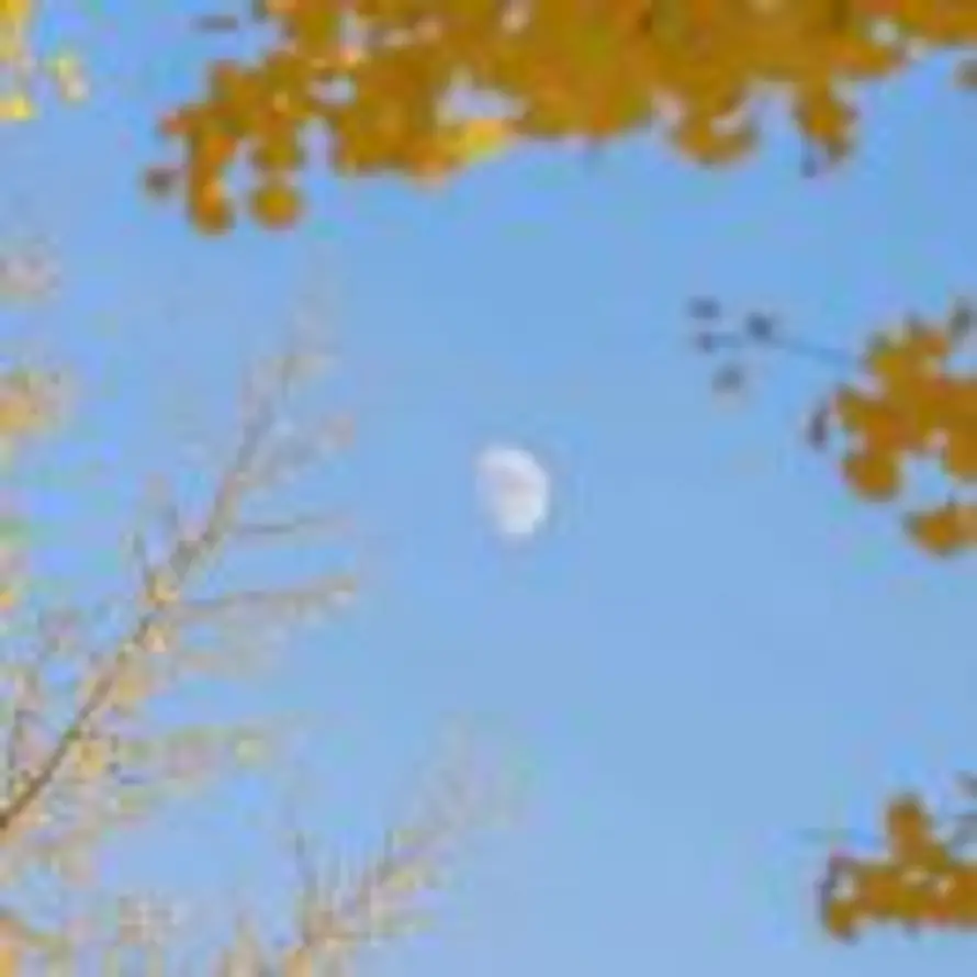 冯18550650956的头像