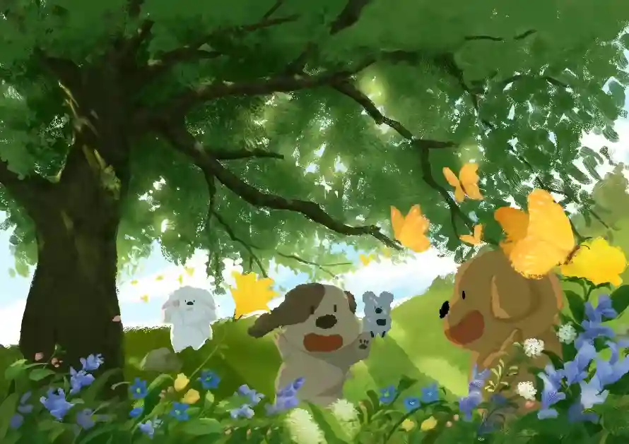 Favorite Image